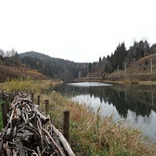 Seegasthaus Ötscher-basis