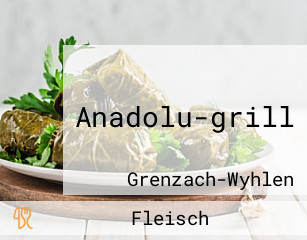 Anadolu-grill