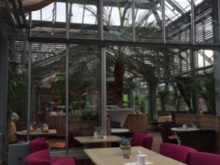 Palmenhaus Cafe