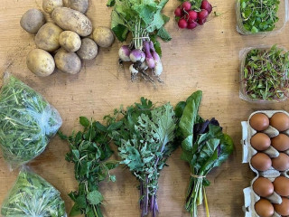 Cork Rooftop Farm Shop