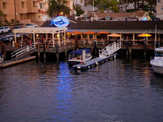 Bluewater Grill Seafood Restaurant Oyster Bar