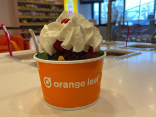 Orange Leaf Frozen Yogurt