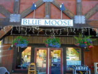 Blue Moose