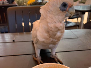 Ningaloo Bakehouse & Cafe