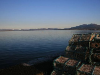 The Waterfront Fish Chip Shop