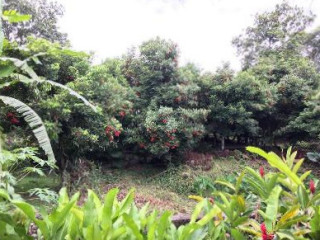 Centro Ecoturístico Rincón De Hadas