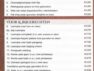 Keyzer Palace Chinees Japans Wok