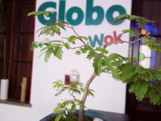 Globo Wok