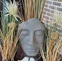 L'evanescence Du Temps