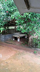 The Wayanad Gate