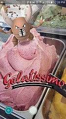 Gelatissimo