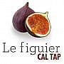 Le Figuier