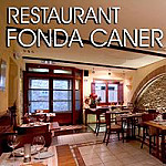 Fonda Caner