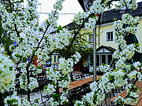 Zum Schiefen Apfelbaum