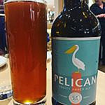 The Pelican