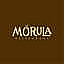 Morula