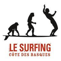 Le Surfing