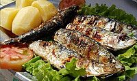 Restaurante Jardim da Manga 