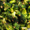 L29. Broccoli Met Knoflooksaus Lunchspecial