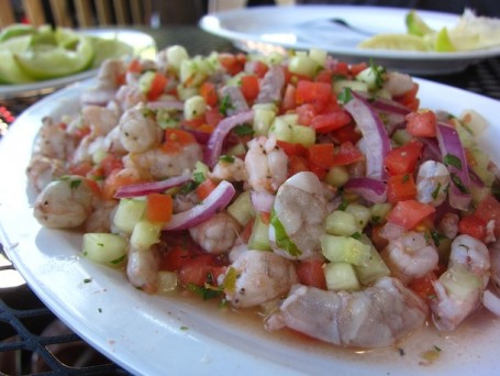 Ceviche Van Garnalen