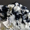 Cruncy Oreo Gelato