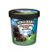 Ben En Jerry Ijs Fudge Brownie Pint