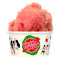 Water Melon Sorbet [Scoop]