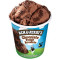 Ben Jerry's Chocolate Fudge