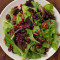 Cranberry Pecan Wild Field Salade