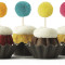 Confetti Pom Poms Bundtinis Kenmerkend Assortiment