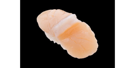 Dài Zi (1Guàn Scallop