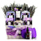 Aromatherapie Lavendel Lila Spa Cadeauset