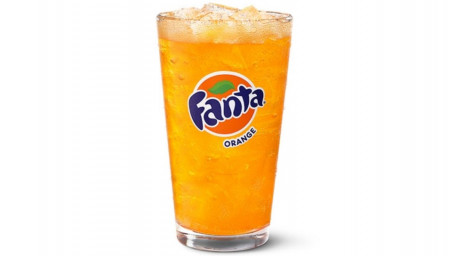 Fanta Oranje Klein (22 Oz)