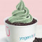 Mint Chocolate Chip Sensation