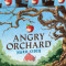 6 Stuks Angry Orchard