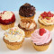 Vegan Cupcake Box Of 4