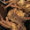 E20. Deep Fried Squid Tentacles