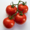 Tomaten