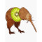 Kiwi More Than Just Fruit