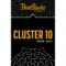 3. Cluster 10