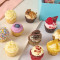 No Nuts 24 Mini Cupcakes Box