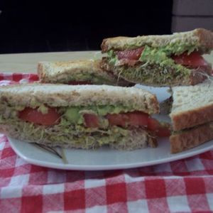 Veggie Delight Sandwich