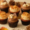 The Cosy Cupcake Collection Box Of 4