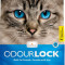 Odourlock Litiere Pour Chat (12Kg) Cat Litter Intersand (12 Kg)