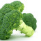 Italiaanse Broccoli Romano