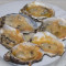 Gegrilde Oesters