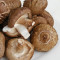 Brown champignon