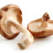 Shiitake Champignon