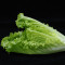 Romaine Romaine